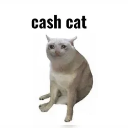 CASHCAT, Seated gray meme cat