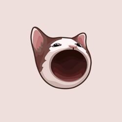 POPCAT, Oatmeal reaction cat
